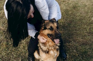 女子亲昵抚摸德国牧羊犬