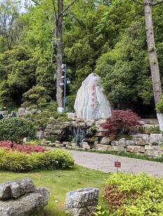 中式园林景观石景绿植相映