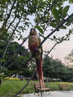 公园中的独特雕塑