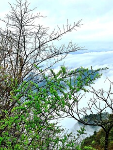 山林间远眺湖泊景致