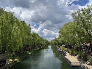 河畔绿树成荫的秀丽风光