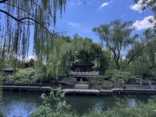 湖畔垂柳下的中式景致
