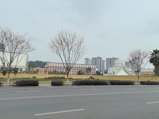 空旷道路旁的城市远景