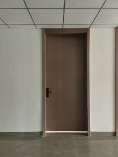 简约室内单扇棕色房门