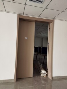 敞开的办公室门与猫咪