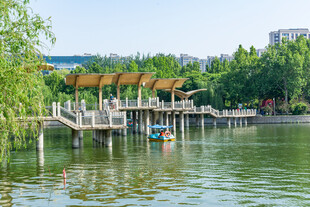 湖畔木桥风景如画