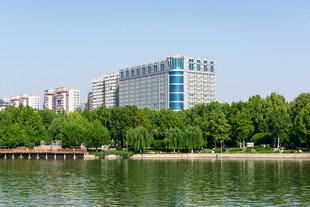 湖畔高楼与葱郁绿树景观