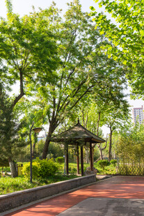 公园林荫下的静谧凉亭