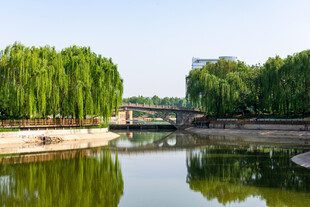 河畔垂柳映桥的秀丽风光