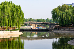 河畔翠柳石桥风景如画