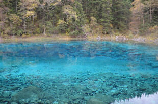 梦幻蓝湖森林环绕之景