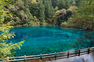 九寨沟蓝绿色湖水美景