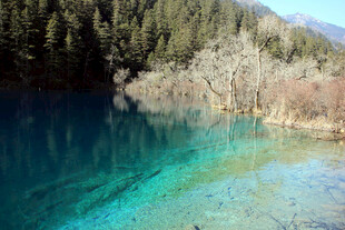 蓝绿色湖水边的山林美景