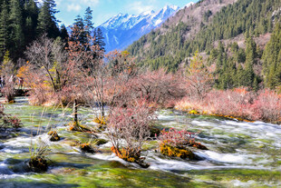 山间溪流秋色美景