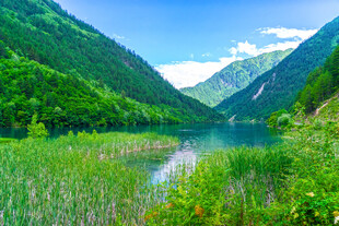 山间碧湖美景