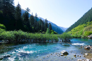 山间清澈溪流景色