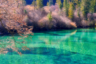 梦幻蓝绿湖水山林美景