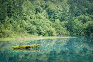 静谧湖景与葱郁山林