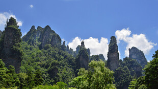 张家界奇峰异景