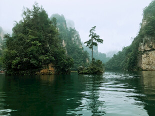 青山绿水间的静谧河道