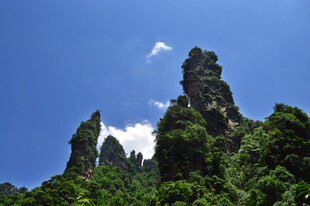 峻峭山峰与葱郁植被
