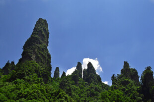 奇峰耸立绿意盎然的山景