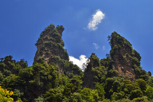 奇峰耸立的壮美山林景观