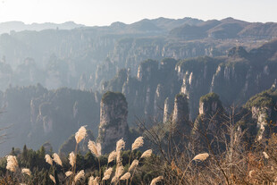 壮丽山峦与芦苇景观