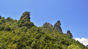 翠绿山峦中的奇特石峰