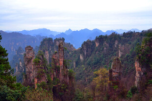 张家界奇峰景色