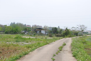乡间小路田园风光