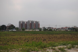 田野旁的城市楼盘建筑