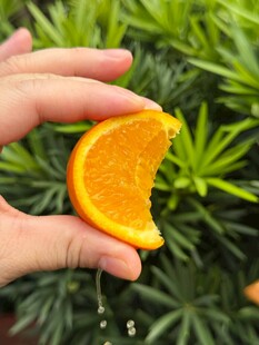 手拿咬过的新鲜橙子