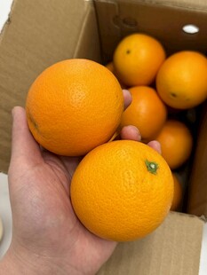 手捧箱中鲜橙