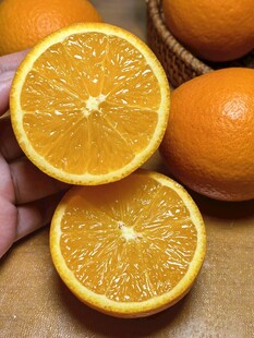 新鲜橙子切片展示