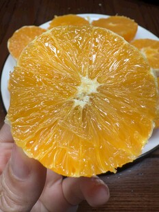 手捧切开的新鲜橙子
