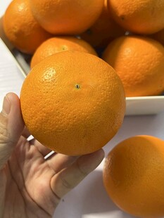 手捧新鲜橙子特写