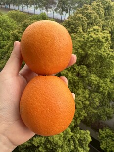 手捧双橙于绿意间