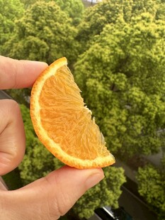 手捧鲜橙切片