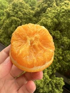 手捧剥开的新鲜橘子