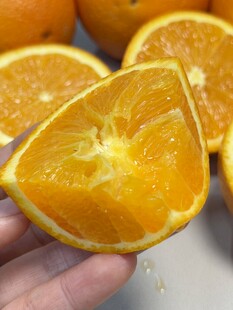 手捧多汁新鲜橙子切片