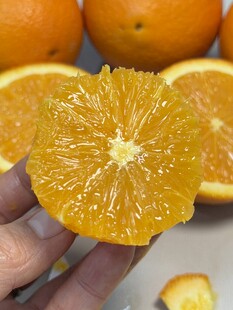 手捧多汁鲜橙切片