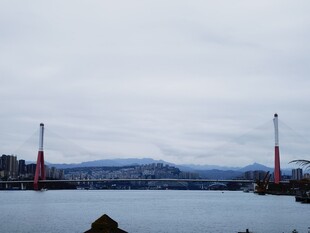 海滨城市景观