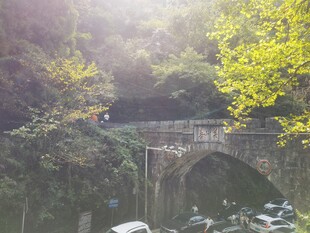 山间石桥旁的明媚景致