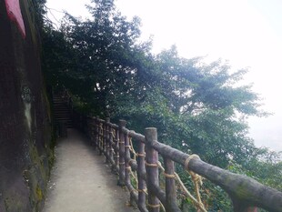 山间幽径旁的木栅栏风景