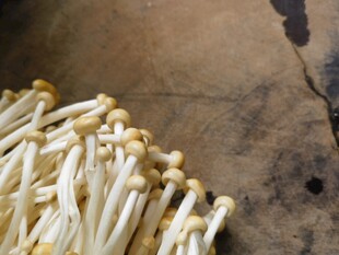 新鲜金针菇特写