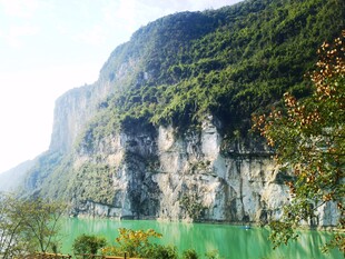 青山绿水间的壮丽峡谷风光