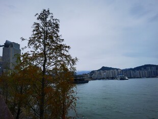 湖畔秋景树木与远处建筑
