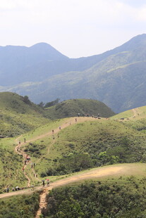 山间绿野风景