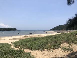 美丽海滨沙滩风景